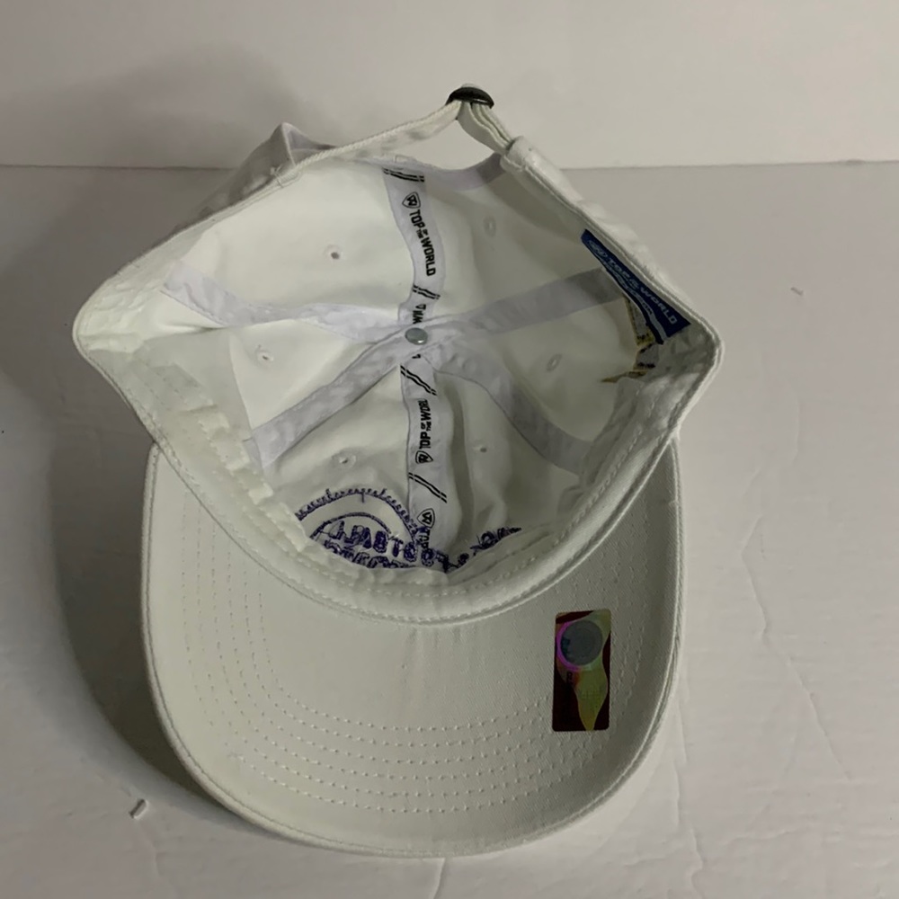 Top of the World 2016 pac-12 Football Champions Washington hat